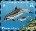 Pantropical Spotted Dolphin (Stenella attenuata)
