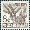 Cycad