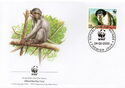 Collard Mangabey (Cercocebus torquatus)