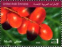 Dates of UAE - Abumaan