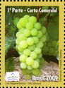 Grapes (Vitis labrusca)
