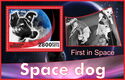 Fauna Space dogs