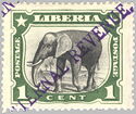 African Elephant (Loxodonta africana)