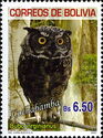 Great Horned Owl (Bubo virginianus)
