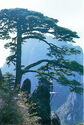 Shanghai "Huangshan mountain, Yellow mountain"