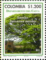 Saimanea saman