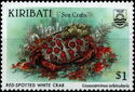 Red-spotted White Crab (Lissocarcinus orbicularis)