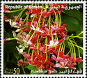 Flowers of Yemen