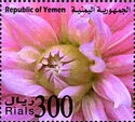 Flowers of Yemen