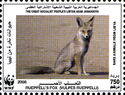Rüppell's Fox (Vulpes rueppellii)