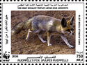 Rüppell's Fox (Vulpes rueppellii)