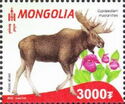 Flora and Fauna of the Red Book of Mongolia
