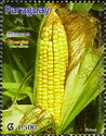 Mercosur 2013 Biodiesel from Maize