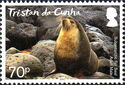 Fur Seals