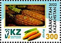 Maize