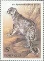 Snow Leopard (Uncia uncia)