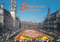 Brussels. Market Place. Flower Carpet