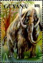 Mammoth (Mammuthus sp.)