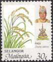 Rice (Oryza sativa)