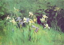 Narodni Galerie Praha : Antonin Slavicek, Irises (study) 1893