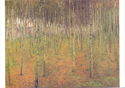 Narodni Galerie Praha : Antonin Slavicek, Birch Mood (1897)
