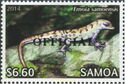 Samoa Skink (Emoia samoensis) - Official
