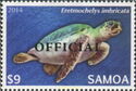 Hawksbill Turtle (Eretmochelys imbricata) - Official