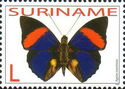 Agrias Butterfly (Agrias narcissus)