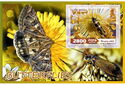 Fauna Butterflies