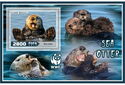 Fauna Sea otter