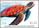 Hawksbill Turtle (Eretmochelys imbricata)