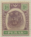 Tiger (Panthera tigris)
