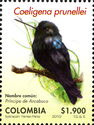 Black Inca (Coeligena prunellei)