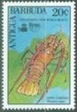 Caribbean Spiny Lobster (Panulirus argus)