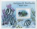 Reef Fish - Overprinted