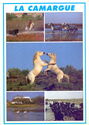 Various aspects of Camargue