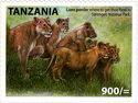 Lion (Panthera leo)