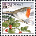 European Robin (Erithacus rubecula) on a holly branch