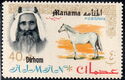 Sheik Rashid and Arabian Horse (Equus ferus caballus)