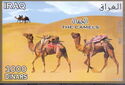 Two Camels