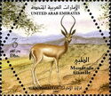 Arabian Mountain Gazelle (Gazella gazella cora)