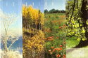 Seasons