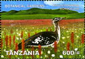Kitulo Bot. Wonderland, Denham's Bustard (Eupodotis denhami)