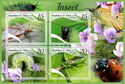 Fauna Insects
