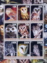 Owls