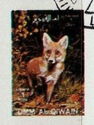 Red Fox (Vulpes vulpes)