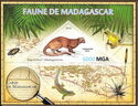 Madagascar Fauna