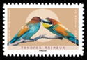 European Bee-Eater (Merops apiaster)