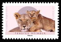 Lions