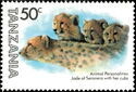 Cheetah (Acinonyx jubatus) - Jade of Seronera with Cubs